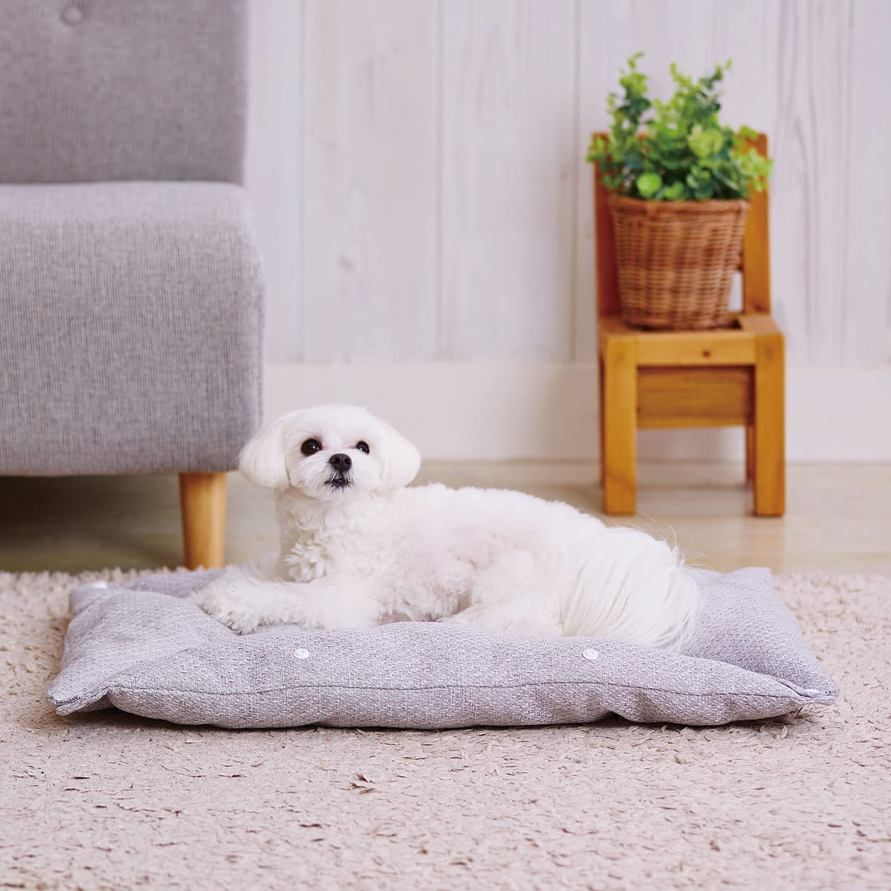 Amazon | アドメイト(ADD.MATE) 犬猫用ベッド Cuna クーナ